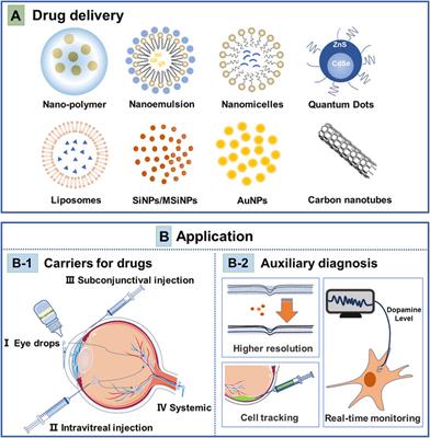 Nanoparticles in ocular applications and their potential toxicity